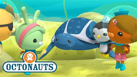 Octonaut Adventure: Dive Deep into an Underwater World of Learning and Fun!