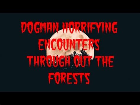 The Forest: Survive Horrifying Encounters and Craft Your Way Out of Danger!